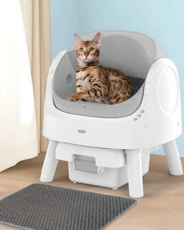 Teweoa Self Cleaning Litter Box